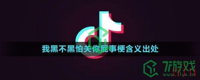 《抖音》我黑不黑怕关你屁事梗含义出处介绍