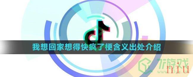 《抖音》我想回家想得快疯了梗含义出处介绍