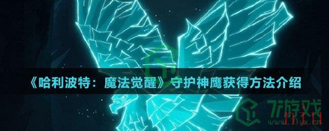 《哈利波特：魔法觉醒》守护神鹰获得方法介绍