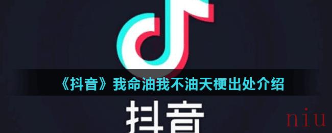 《抖音》我命油我不油天梗出处介绍