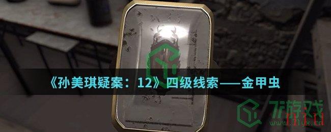 《孙美琪疑案：12》四级线索——金甲虫