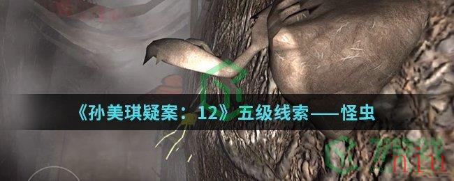 《孙美琪疑案：12》五级线索——怪虫