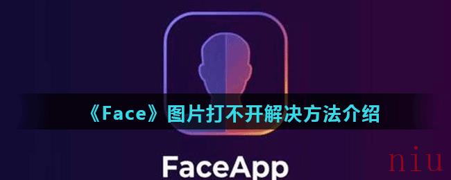 《Face》图片打不开解决方法介绍