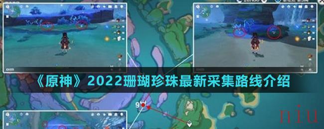 《原神》2022珊瑚珍珠最新采集路线介绍