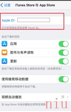 《App Store》语言设置中文方法