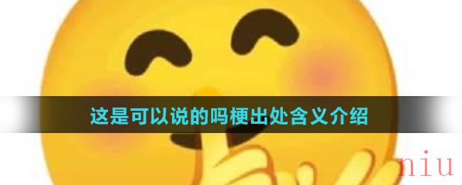 这是可以说的吗梗出处含义介绍