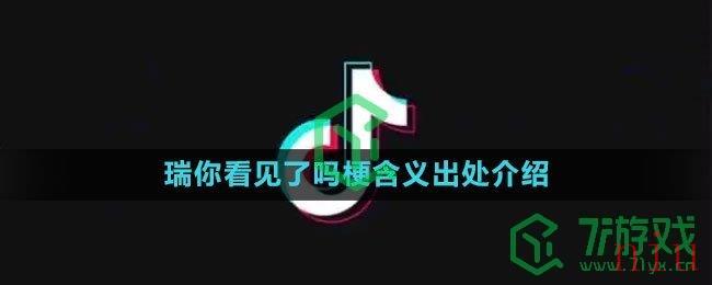 《抖音》瑞你看见了吗梗含义出处介绍