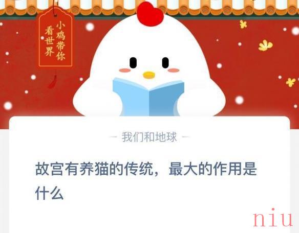 故宫有养猫的传统，最大的作用是什么