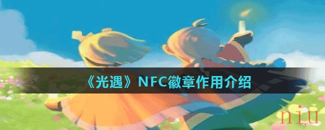 《光遇》NFC徽章作用介绍