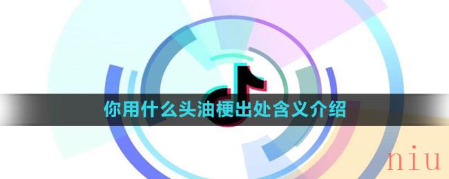 《抖音》你用什么头油梗出处含义介绍