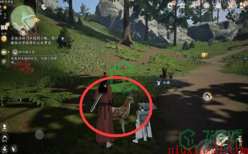 《射雕手游》小动物位置大全