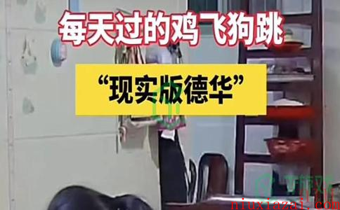 《抖音》德华带孩子梗含义出处介绍