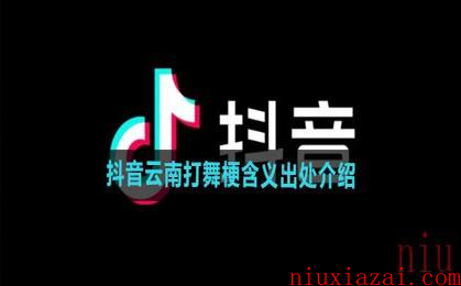 《抖音》云南打舞梗含义出处介绍